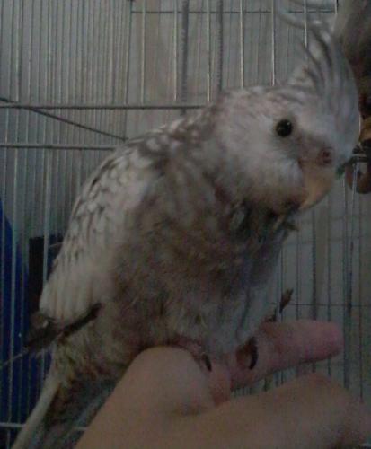 Foto-0841.thumb.jpg.bfd4800c314839092f11