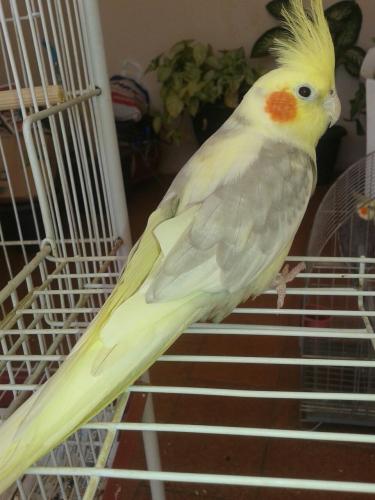 IMG-20150802-WA0001.thumb.jpg.a869c4db54