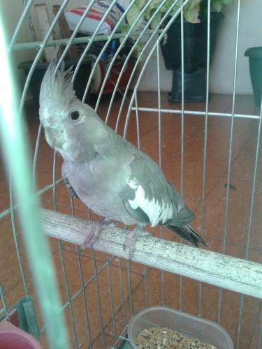 IMG-20150802-WA0002.thumb.jpg.47ab3efbb3