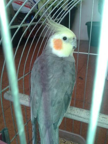 IMG-20150802-WA0005.thumb.jpg.5b1097d0b2