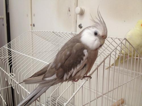 Iphone_pics2_1130.thumb.JPG.0d67e3090cd0