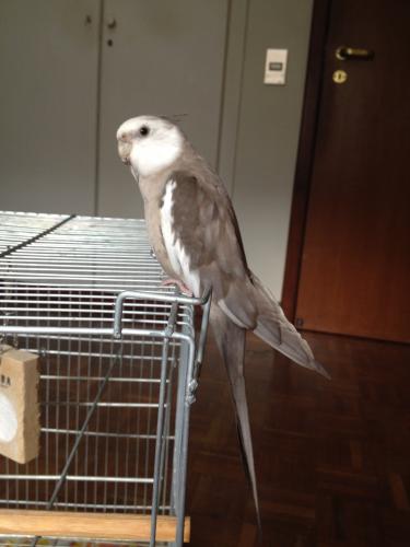 Iphone pics2 1306.JPG