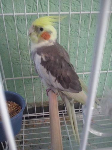 image.thumb.jpg.1bb76f6bad948dd9fa884a1d