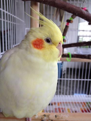 iphone_pics_leva_4_799.thumb.JPG.ec9593c