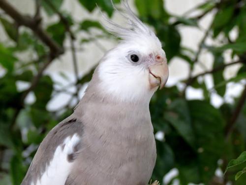 10175067_1589951474566651_56465704421857