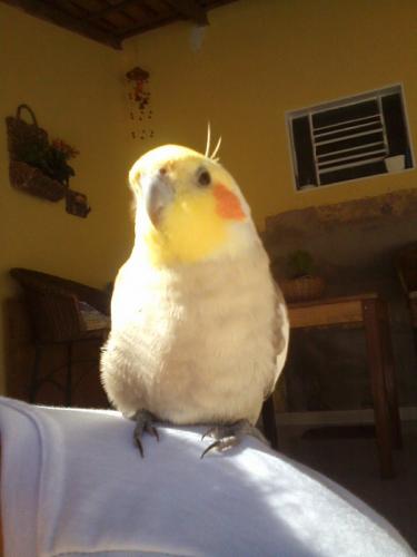 11124143_723789161064712_1773111682_n.th