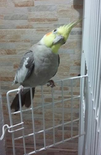 11696646_492476720903274_1009822276_n.th