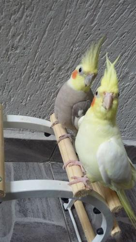 11714322_496411220509824_1222287586_n.th