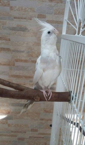 11733463_498483120302634_1806852178_n.th