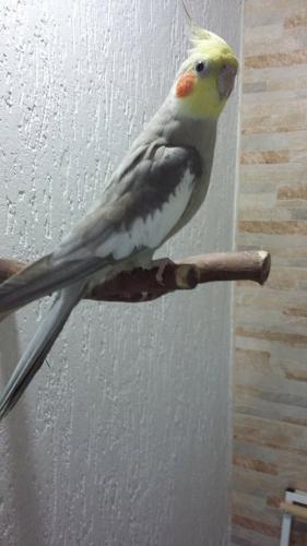 11880911_511411792343100_1257268720_n.th