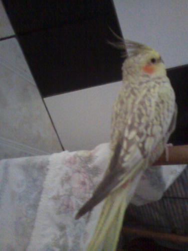 12000861_759976357445992_775424646125131