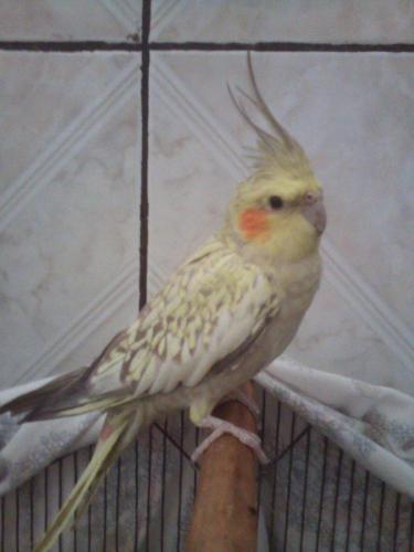 12010642_759976197446008_170067887300178