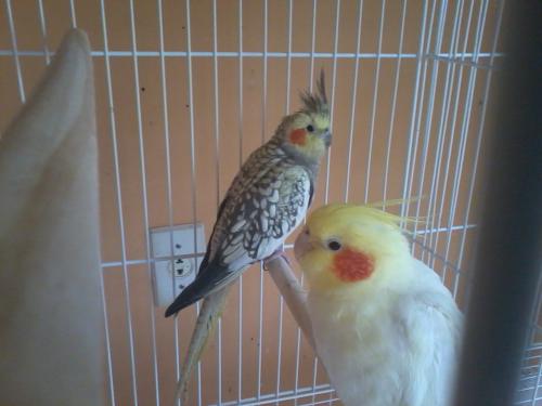 2015-06-27_15.48.30.thumb.jpg.47589fc5a6