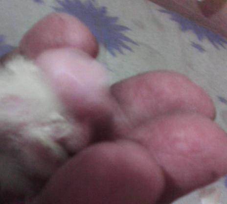 2015-08-29 14.37.01.jpg