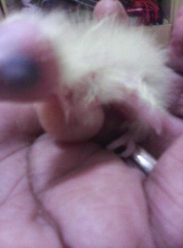 2015-09-01 14.57.49.jpg