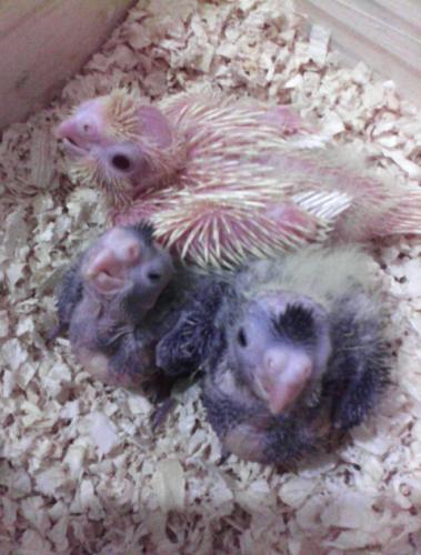 2015-09-10 16.46.23.jpg