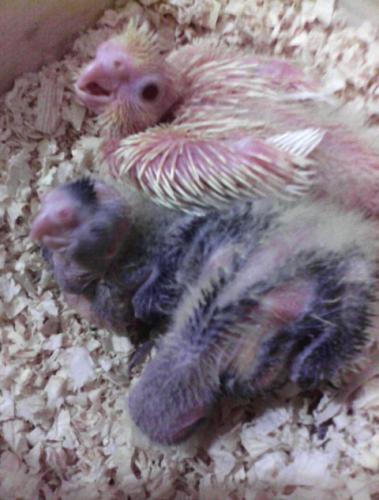 2015-09-10 16.47.09.jpg