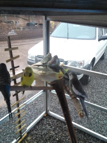 2015-09-20 08.22.47 1 (1).jpg