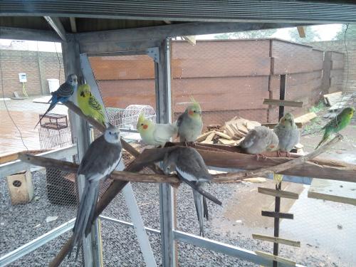 2015-09-20 08.22.58 1.jpg