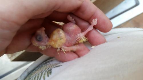 20150903_172818.thumb.jpg.b75625f9e58441