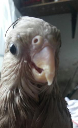 20150912_132616-1.thumb.jpg.c4e8221475fd