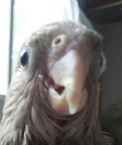 20150912_132651-1.thumb.jpg.f2e2b5fbdf78