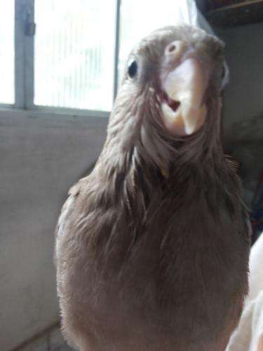 20150912_132651.thumb.jpg.ff874ab06fc427