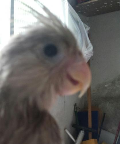 20150912_132654-1.thumb.jpg.1d2a4b99f800