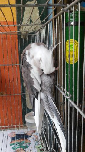 20150916_115111.thumb.jpg.a58d05c4a5a6d0