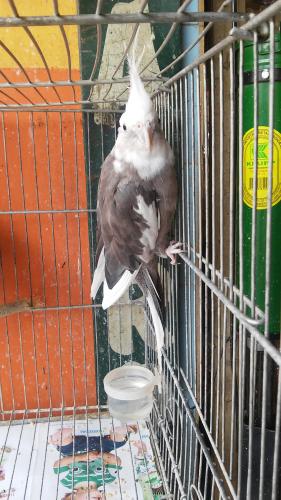 20150916_115117.thumb.jpg.e0e64b505d6421