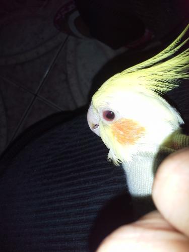 20150930_173808.thumb.jpg.ea9af81706cb73