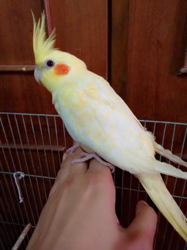 C360_2015-09-12-10-06-19-624.thumb.jpg.c