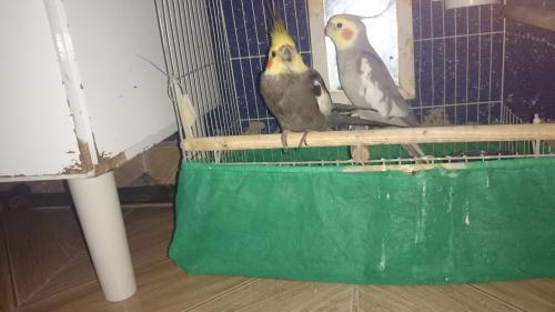 DSC_02812.thumb.JPG.83b72963611fb69f7098