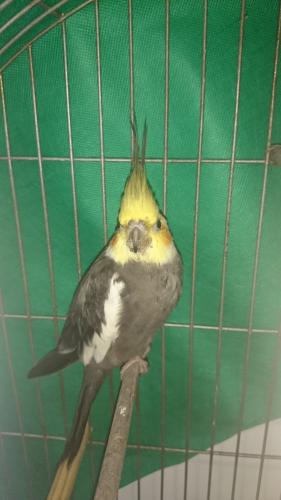 DSC_0283.thumb.JPG.ff2a18fab2acf0a0ed8ad