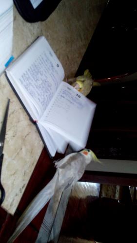 IMG-20150925-WA0038.thumb.jpeg.5b7d2e5fa