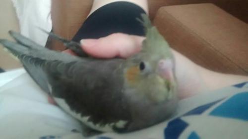 IMG-20150926-WA0037.thumb.jpg.18d5ddaa4b