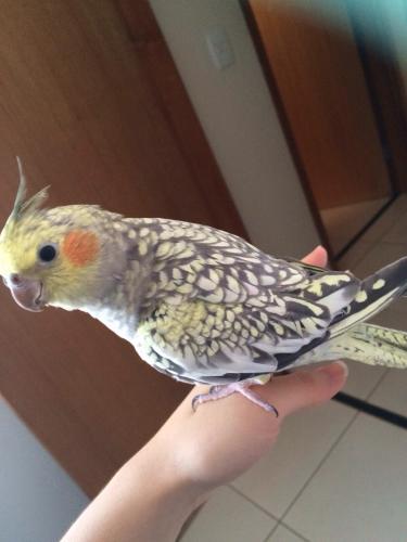 IMG_3209.thumb.JPG.00979a8467eec1bc87437