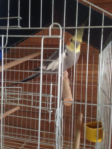 IMG_3248.thumb.JPG.7e96a72cae5c8037ef29a