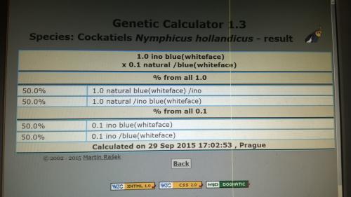 WP_20150929_004 1.jpg