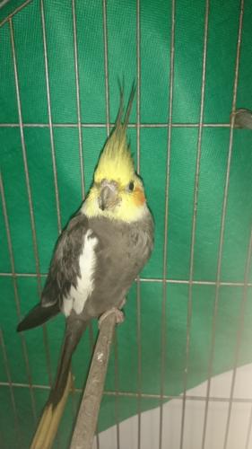 ase.thumb.JPG.0db3e4396a25216c9a2697a878