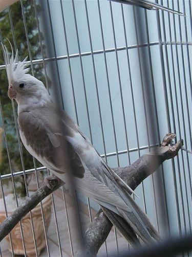 image.thumb.jpg.09a7738be170138ab2bd6864