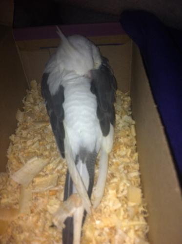 image.thumb.jpg.0d5618bd512d667588723691