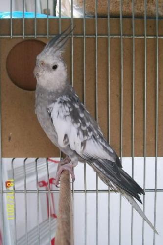 image.thumb.jpg.97aeccb873efff65a9e21e70