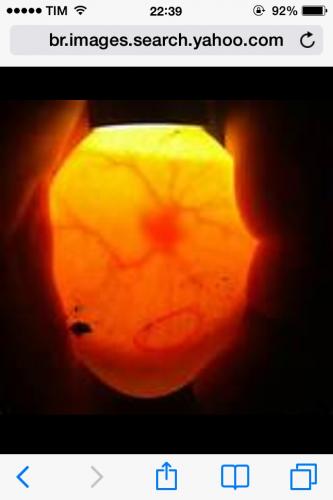 image.thumb.jpg.dbb62180838f10be4f465f78