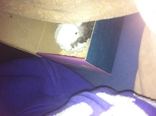 image.thumb.jpg.dc08f617d358fe8888c850a8