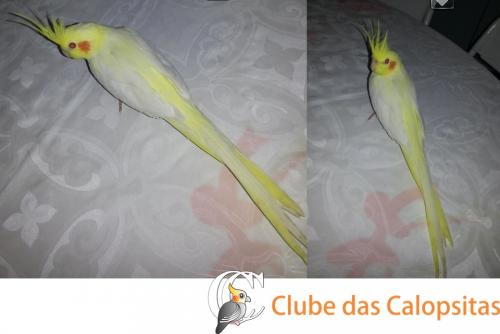 post-21203-0-08819800-1402285416.thumb.j