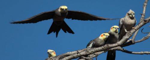 slide01.thumb.jpg.dd89243fe4ce908aec3e48