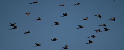 slide02.thumb.jpg.87ff4b34f2cc44110fe3f0