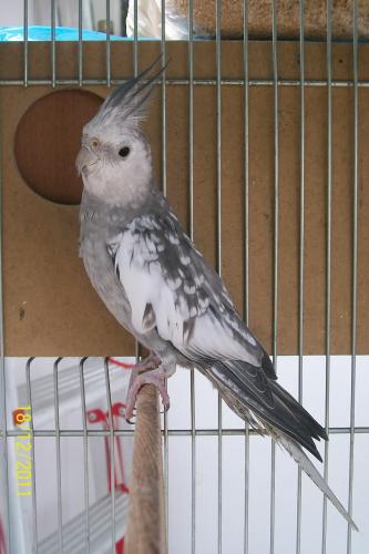 wu3znp_(1).thumb.jpg.aeb8ad8581dab1e5bae