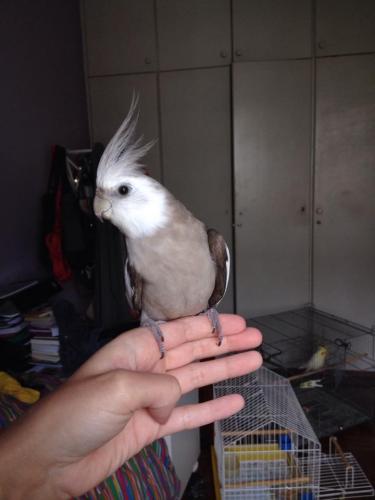 11139825_998051723593117_234248377_n.thu